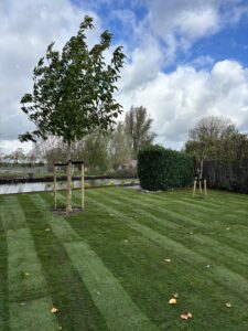 Montfoort Gras aanleg